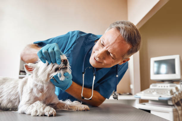 Best Emergency Tooth Extraction in Kiln, MS